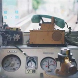 小白221