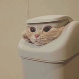 窗帘不见了