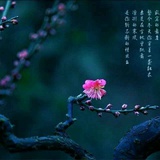 梅清欢