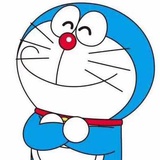 蘑菇哪里去摘