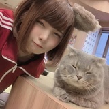 卡珊德拉的悲鸣