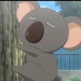 吕禹辉
