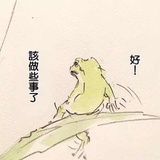 妙蛙菌子