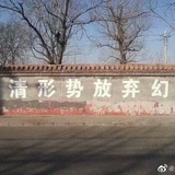傻鲨本笨