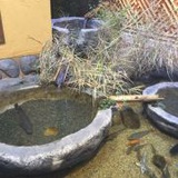 传承秩序