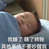 无了大语