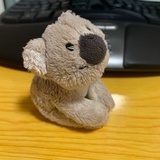 团团圆圆团团