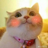 LLLuly