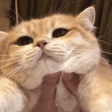 ~~