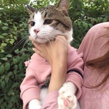 阿田田田田田