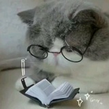 unicolás
