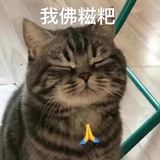沉百感