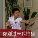 琴音不觉茶香漫