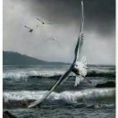 观海听涛