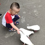零度情感