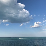 虹怦然怡悦