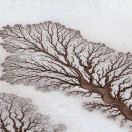 高朋满座