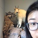 想要心灵感应的e