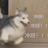 hhhhhh零零零