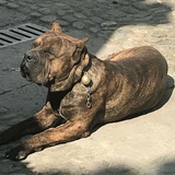 豆友183808917