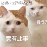 薛定谔的润