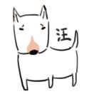 赵心怡