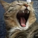 木木夕