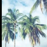 中丸子宝贝