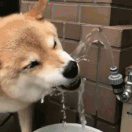 个坏人