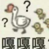啊鱼不吃鱼