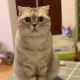 泪沟小姐
