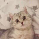 Lulu