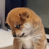 nacowu