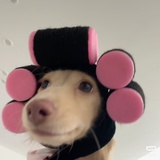 张怀民睡了吗