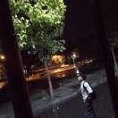 付洋