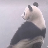 XxxxxxxxxMr