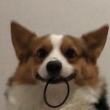 大米