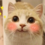 凌微步