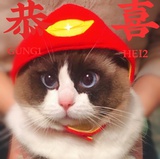 豆友194168531