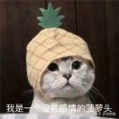 云淡风轻。