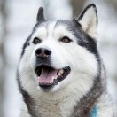 风继续吹