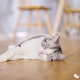 牛奶糖
