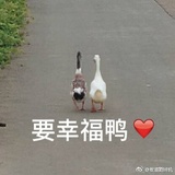 楼板