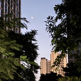 林序