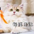 八尾猫舍