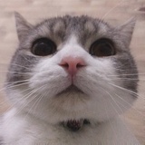 看什么看