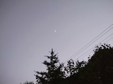 喜闻乐见