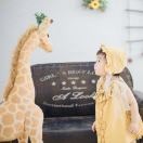 1回归线1加糖