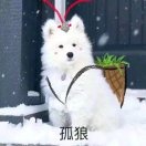 方圆百里最软的柿子