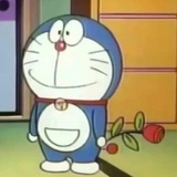 日光